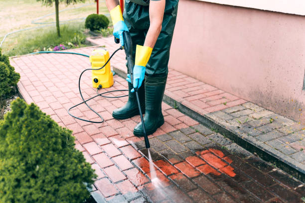 Best Dumpster Area Cleaning  in Palmdale, CA